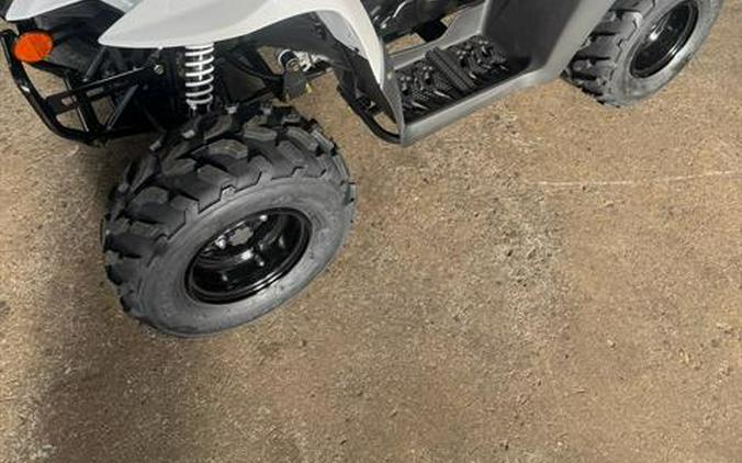 2027 Kawasaki KFX®50