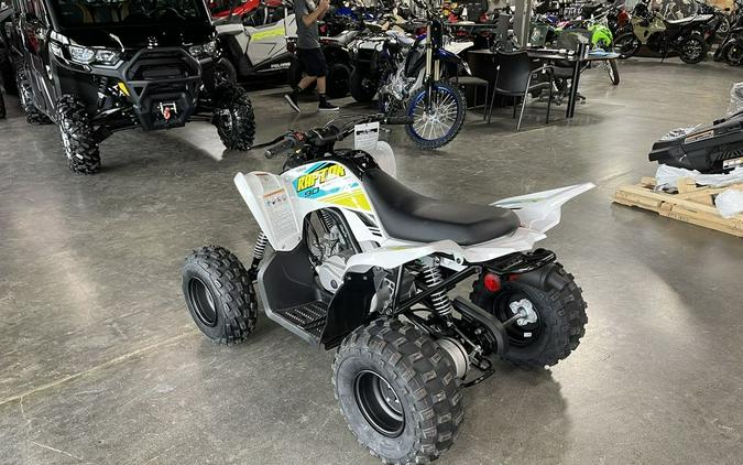 2022 Yamaha Raptor 90