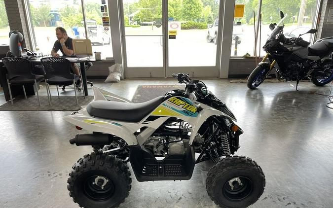 2022 Yamaha Raptor 90