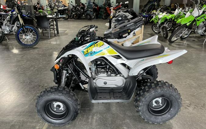 2022 Yamaha Raptor 90