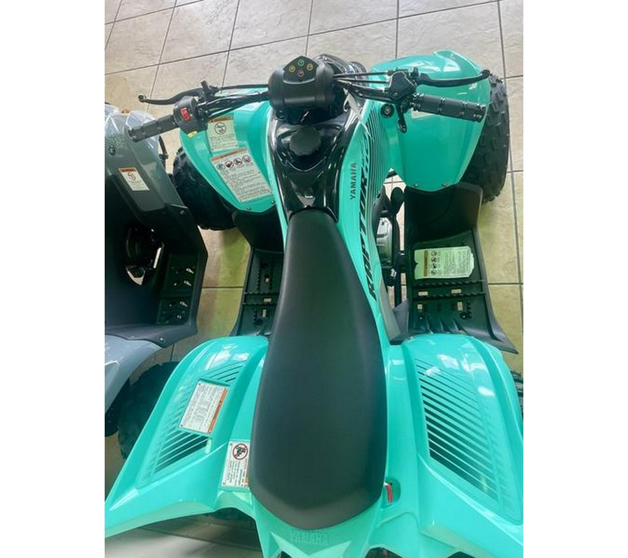 2025 Yamaha Raptor 110