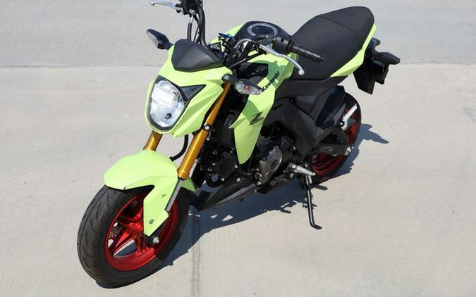 2026 Kawasaki Z125 PRO