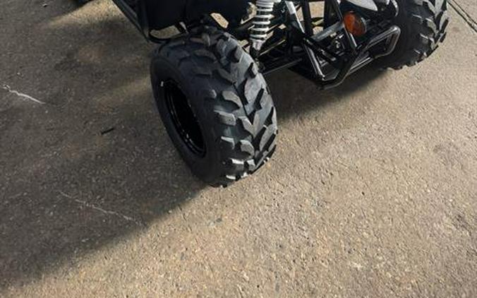 2027 Kawasaki KFX®50