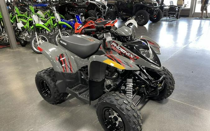 2022 Polaris® Phoenix 200