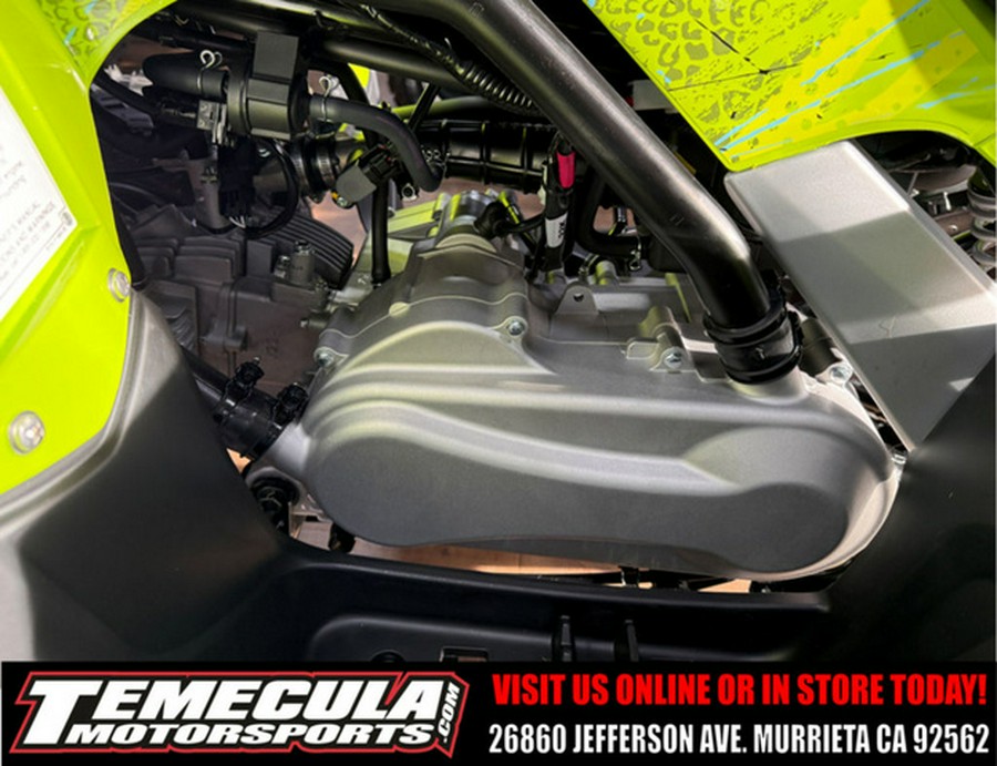 2026 Yamaha Raptor 110