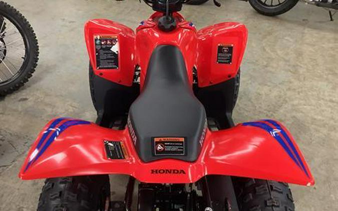 2024 Honda TRX90X