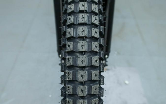 2025 E RIDE PRO SS 3.0