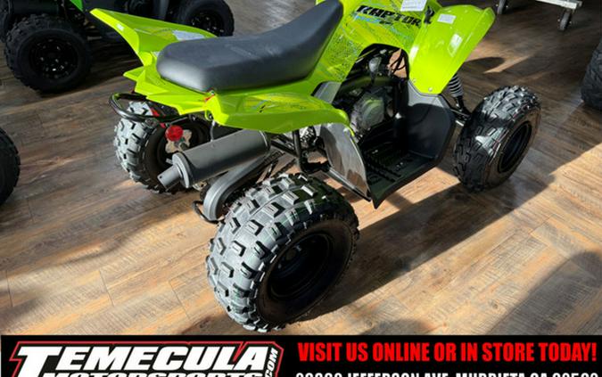 2026 Yamaha Raptor 110