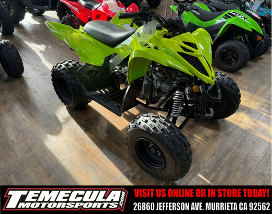 2026 Yamaha Raptor 110