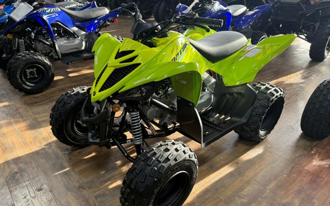 2026 Yamaha Raptor 110