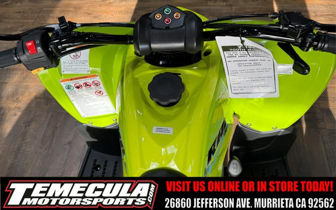 2026 Yamaha Raptor 110