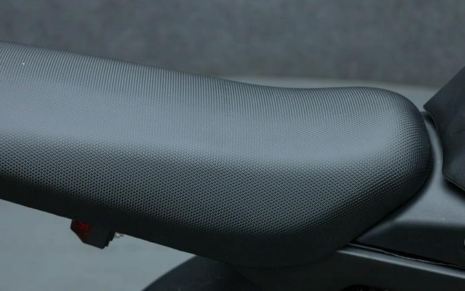 2025 E RIDE PRO SS 3.0