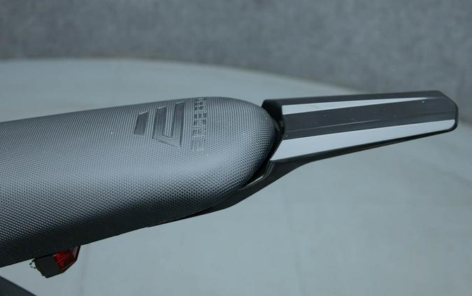 2025 E RIDE PRO SS 3.0