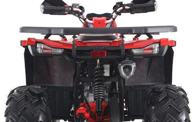 2026 Denago Powersports Mudhawk 200FI
