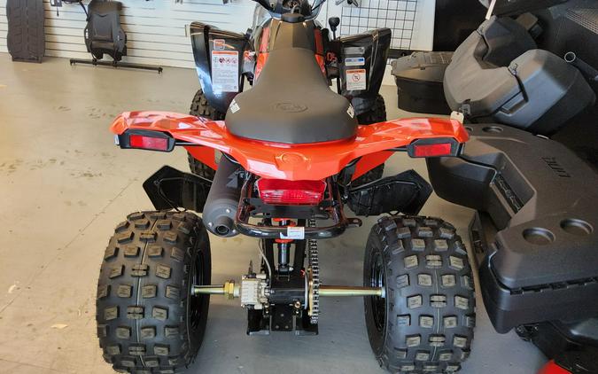 2026 Can-Am DS 2X4 250 Red - BA4728