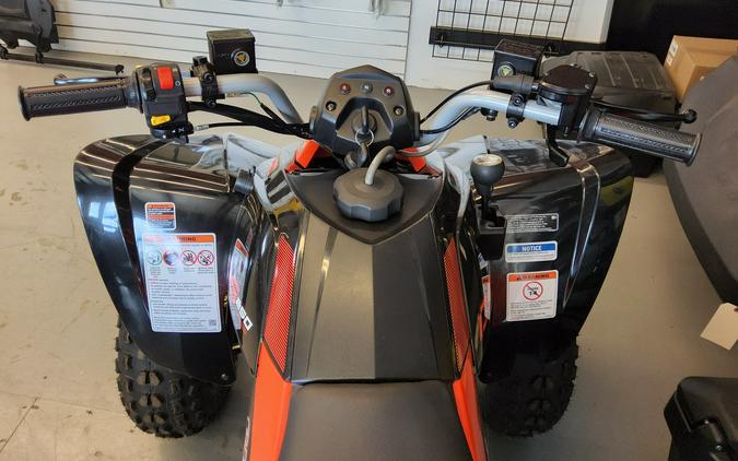 2026 Can-Am DS 2X4 250 Red - BA4728