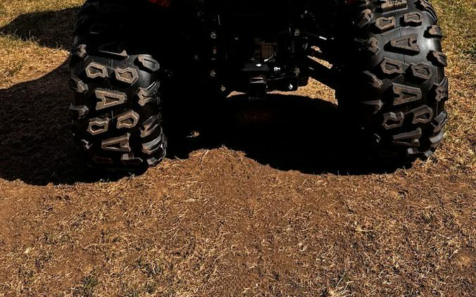 2025 CFMOTO CFORCE 600 TOURING