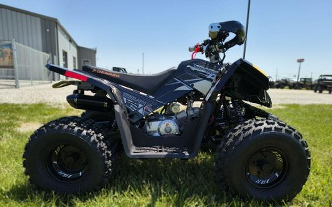 2026 Denago Powersports Trailhawk 10FI