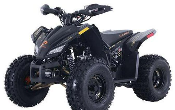 2026 Denago Powersports Trailhawk 10FI