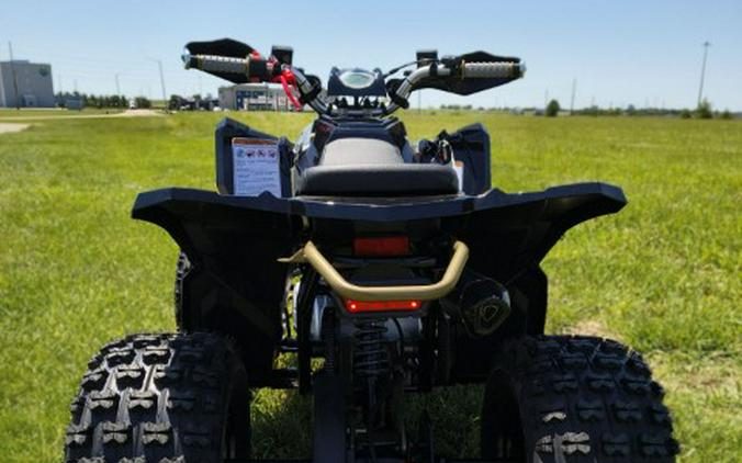 2026 Denago Powersports Trailhawk 10FI