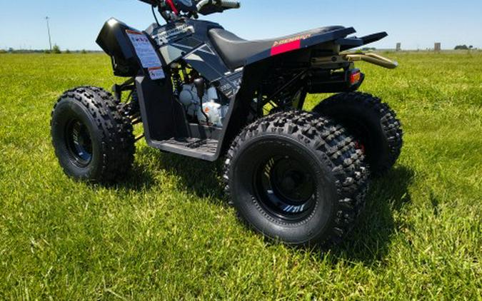 2026 Denago Powersports Trailhawk 10FI