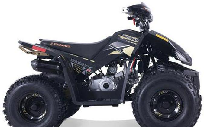 2026 Denago Powersports Trailhawk 10FI
