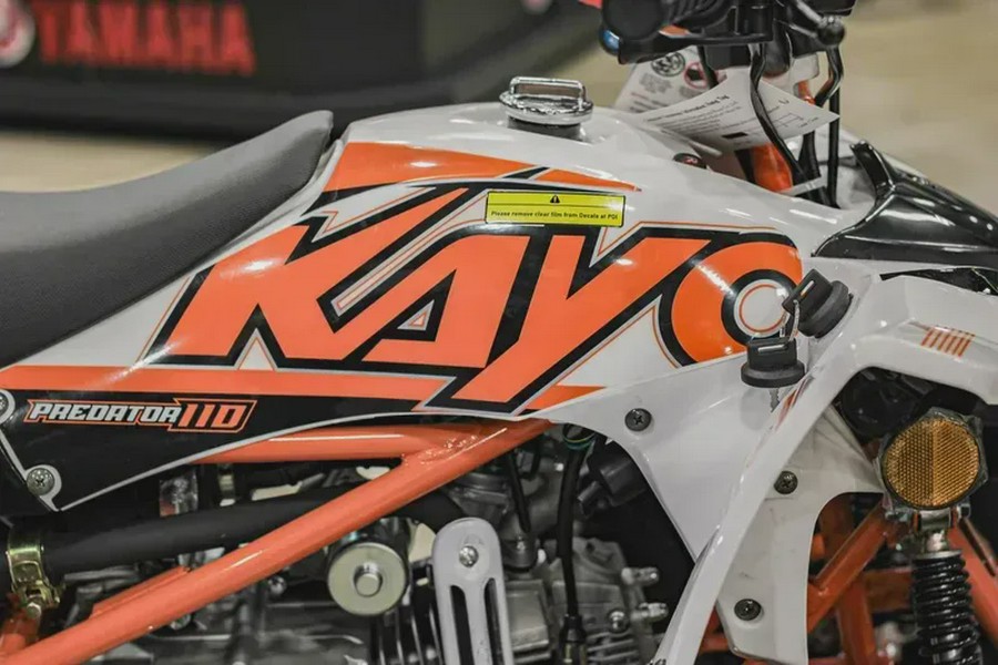 New 2024 KAYO PREDATOR 110