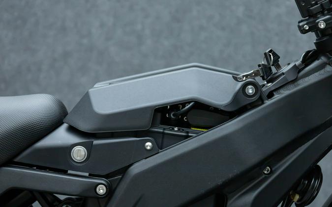 2025 E RIDE PRO SS 3.0