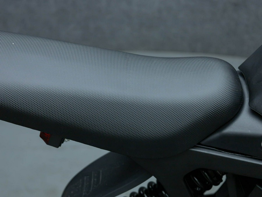 2025 E RIDE PRO SS 3.0