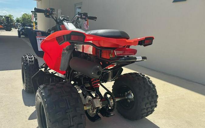 2025 Can-Am® DS 250