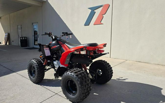 2025 Can-Am DS 250