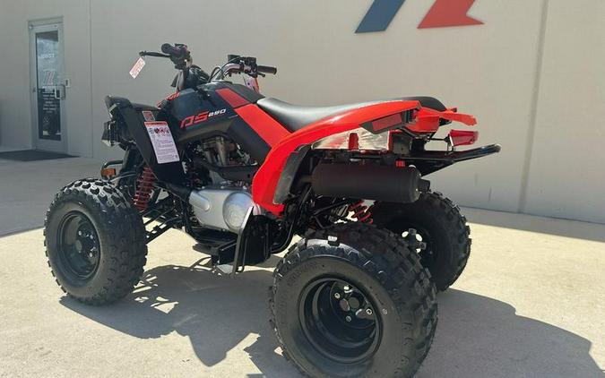 2025 Can-Am® DS 250