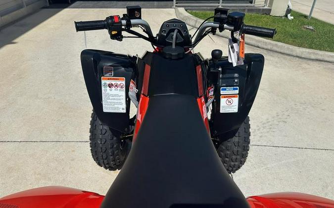 2025 Can-Am® DS 250