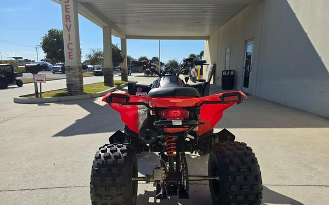 2025 Can-Am DS 250