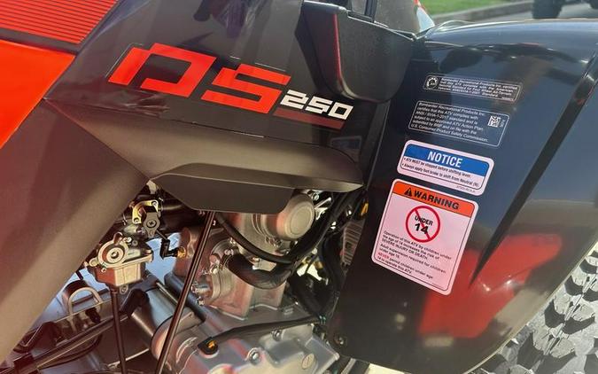 2025 Can-Am® DS 250