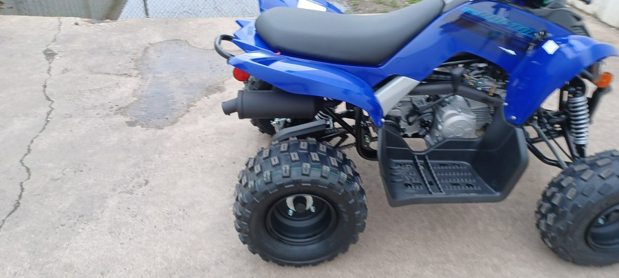 2024 Yamaha Raptor 110