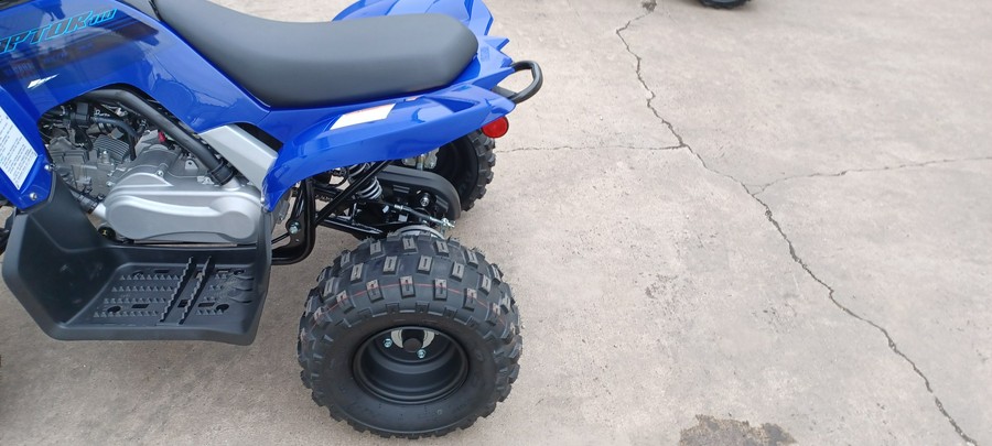 2024 Yamaha Raptor 110