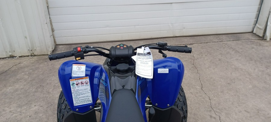 2024 Yamaha Raptor 110