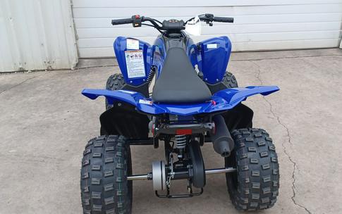 2024 Yamaha Raptor 110