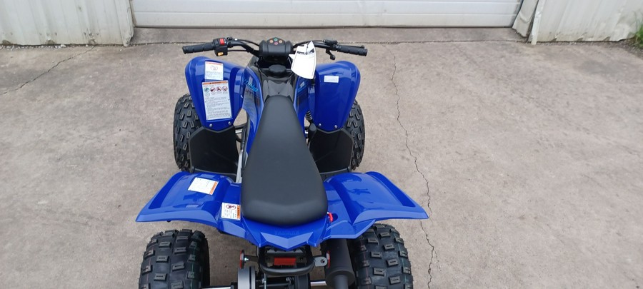 2024 Yamaha Raptor 110