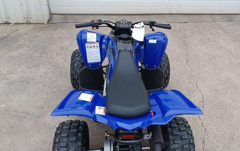 2024 Yamaha Raptor 110