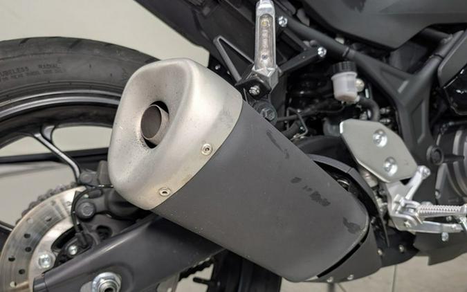 2025 Yamaha YZF R3