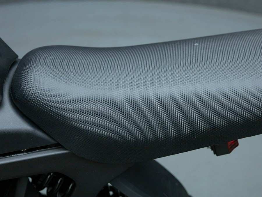 2025 E RIDE PRO SS 2.0