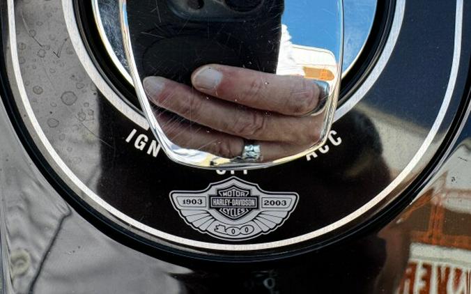 2003 Harley-Davidson® 100th Anniversary Night Train® Vivid Black