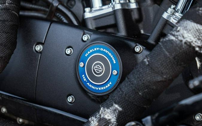 2018 Harley-Davidson XL1200X Forty-Eight Blue