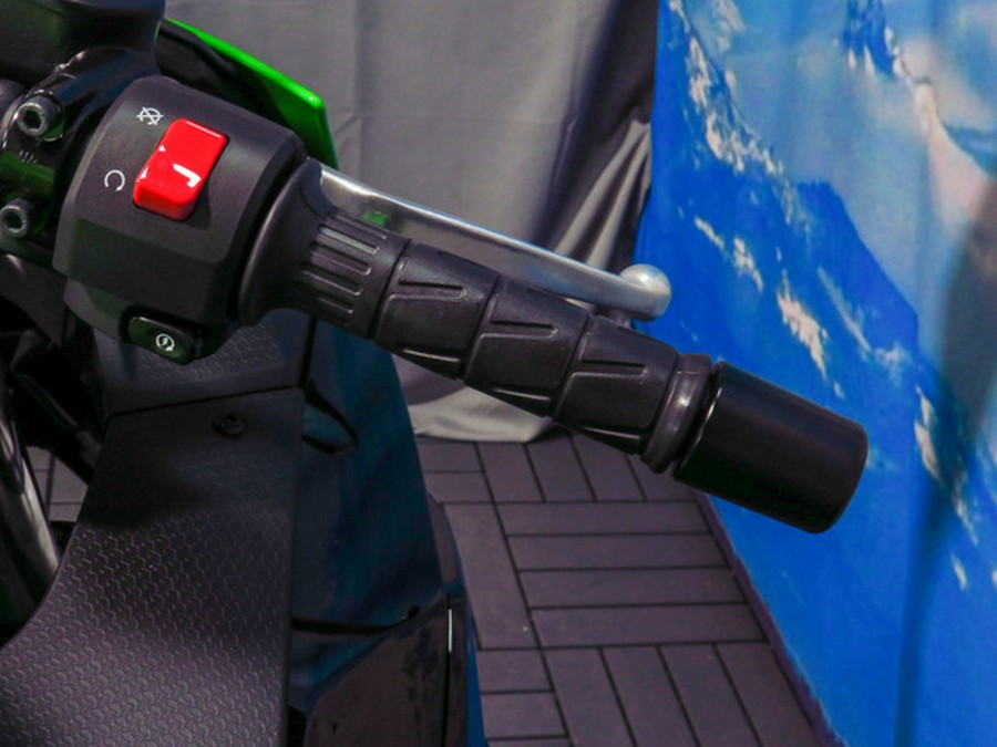 2025 Kawasaki Ninja 500 KRT Edition