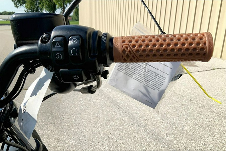 2022 Harley-Davidson XL883N - Iron 883