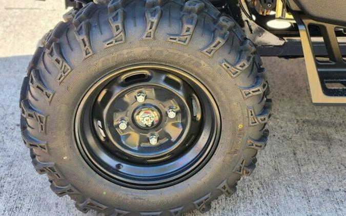 2025 Honda Pioneer 1000-5 Base