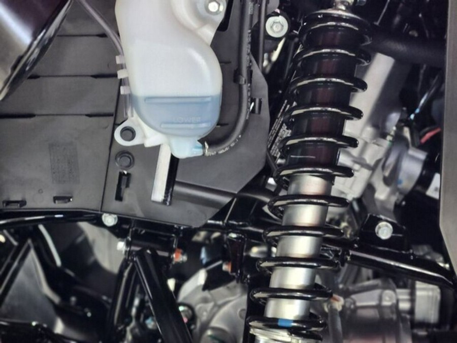 2025 Honda FourTrax Foreman Rubicon 4x4 Automatic DCT EPS