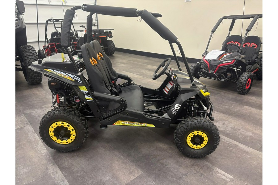 2025 TrailMaster Cheetah 6